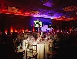 decorated-banquet-hall-with-served-round-table-with-hydrangea-centerpiece-chiavari-chairs